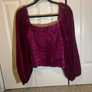 Pink Velvet Anthropologie Blouse